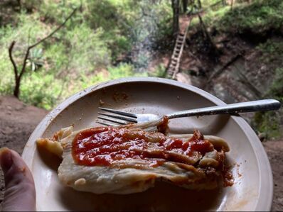 Mushroom Foraging in Mexico