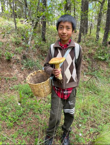 MycoAdventure in Mexico