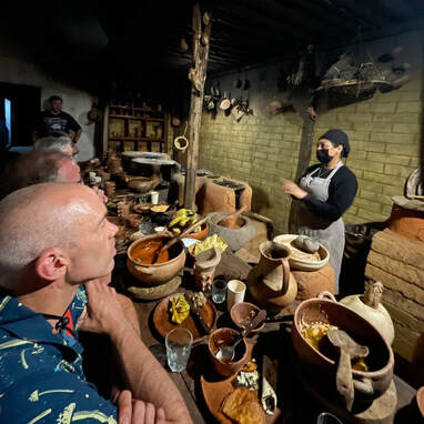 Mushroom foraging tour in Oaxaca