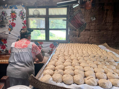 Mushroom Foraging in Oaxaca