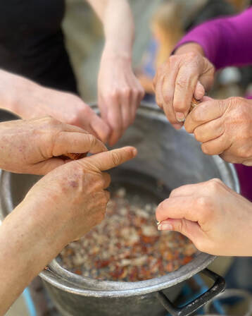 Mushroom Foraging in Sierra Norte, Oaxaca