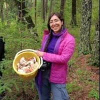 Iñaki Oyarvide Ibarrola