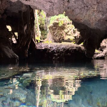 MycoAdventure in Oaxaca
