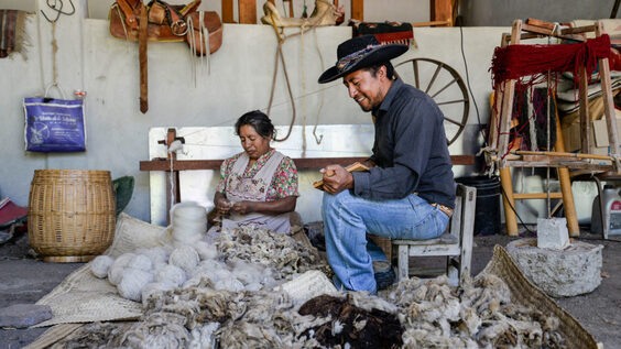 Mushroom foraging tour in Mexico