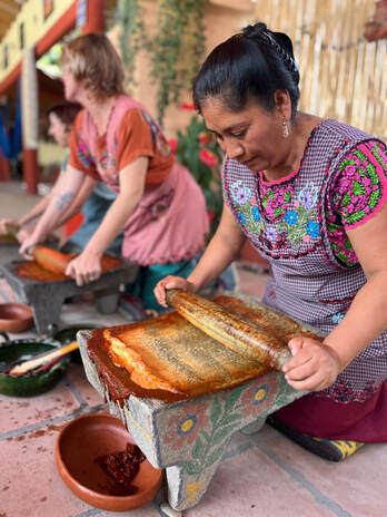 MycoAdventure in Sierra Norte, Oaxaca