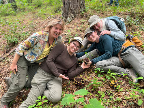 Mushroom Foraging in Oaxaca