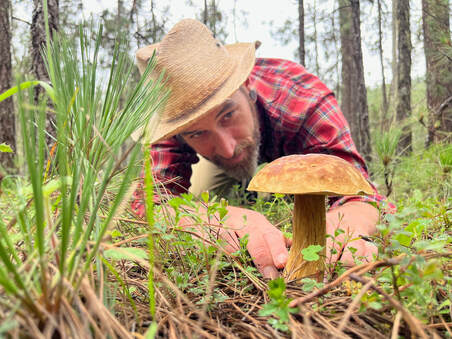 Mushroom Foraging in Sierra Norte, Oaxaca