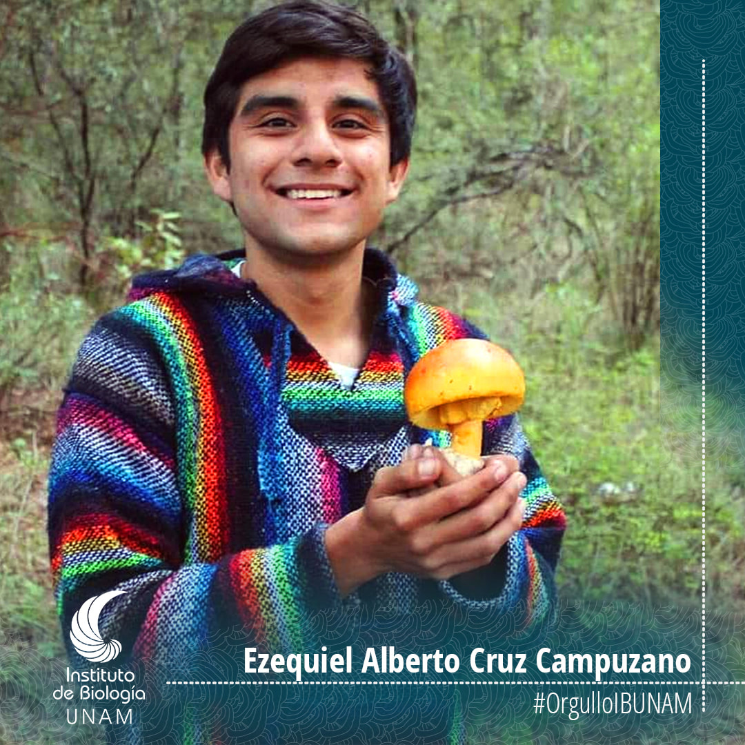 Iñaki Oyarvide Ibarrola