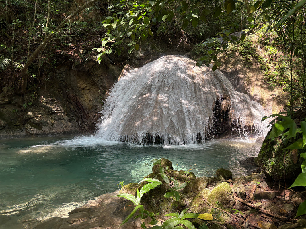 Mushroom Foraging in Oaxaca