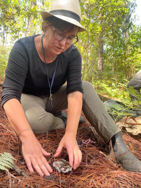 Mushroom Foraging in Mexico