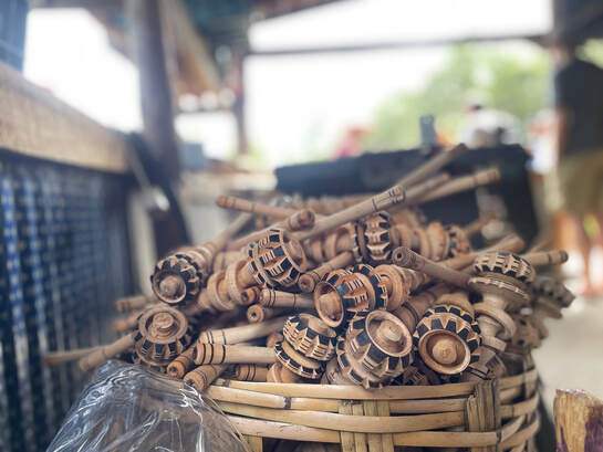 Mushroom Foraging in Mexico