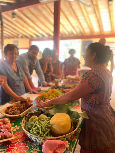 Mushroom Foraging in Sierra Norte, Oaxaca